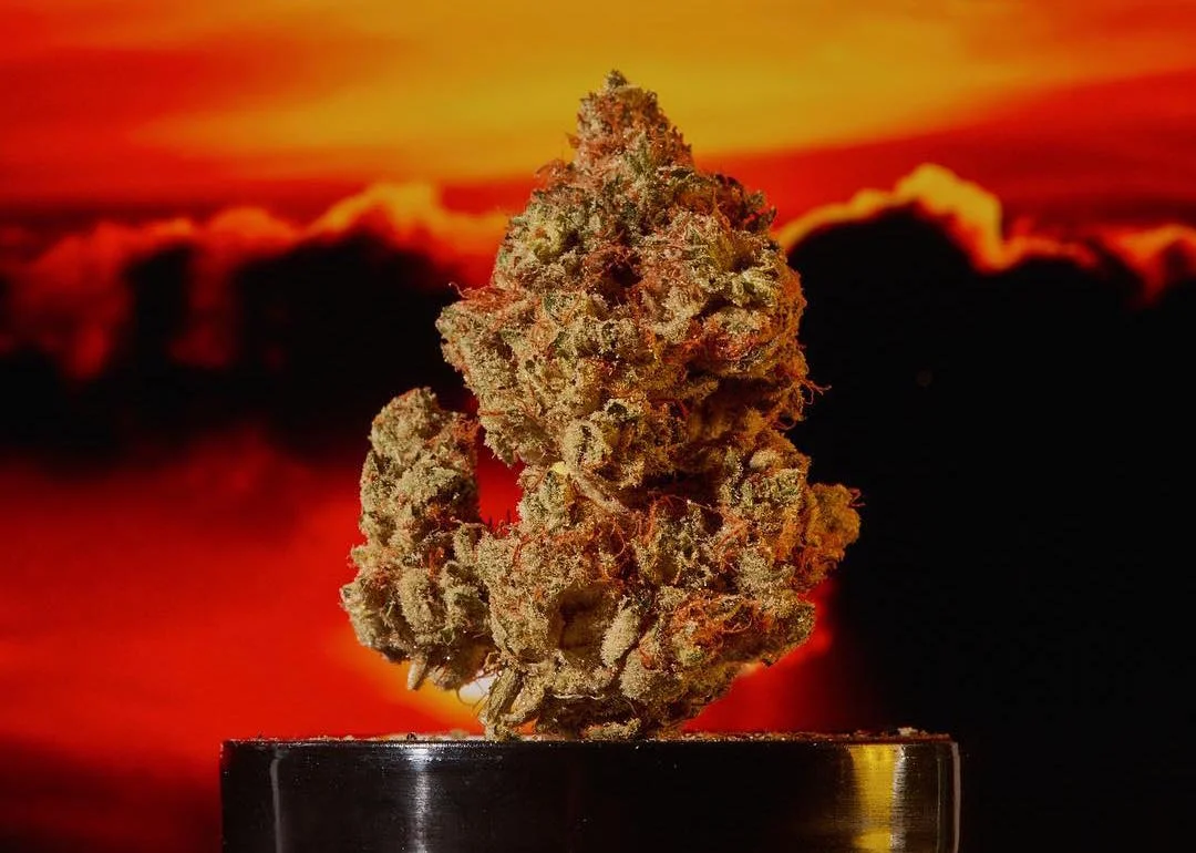 David Brandon Geeting's Weed Imagery Gives You A Visual High