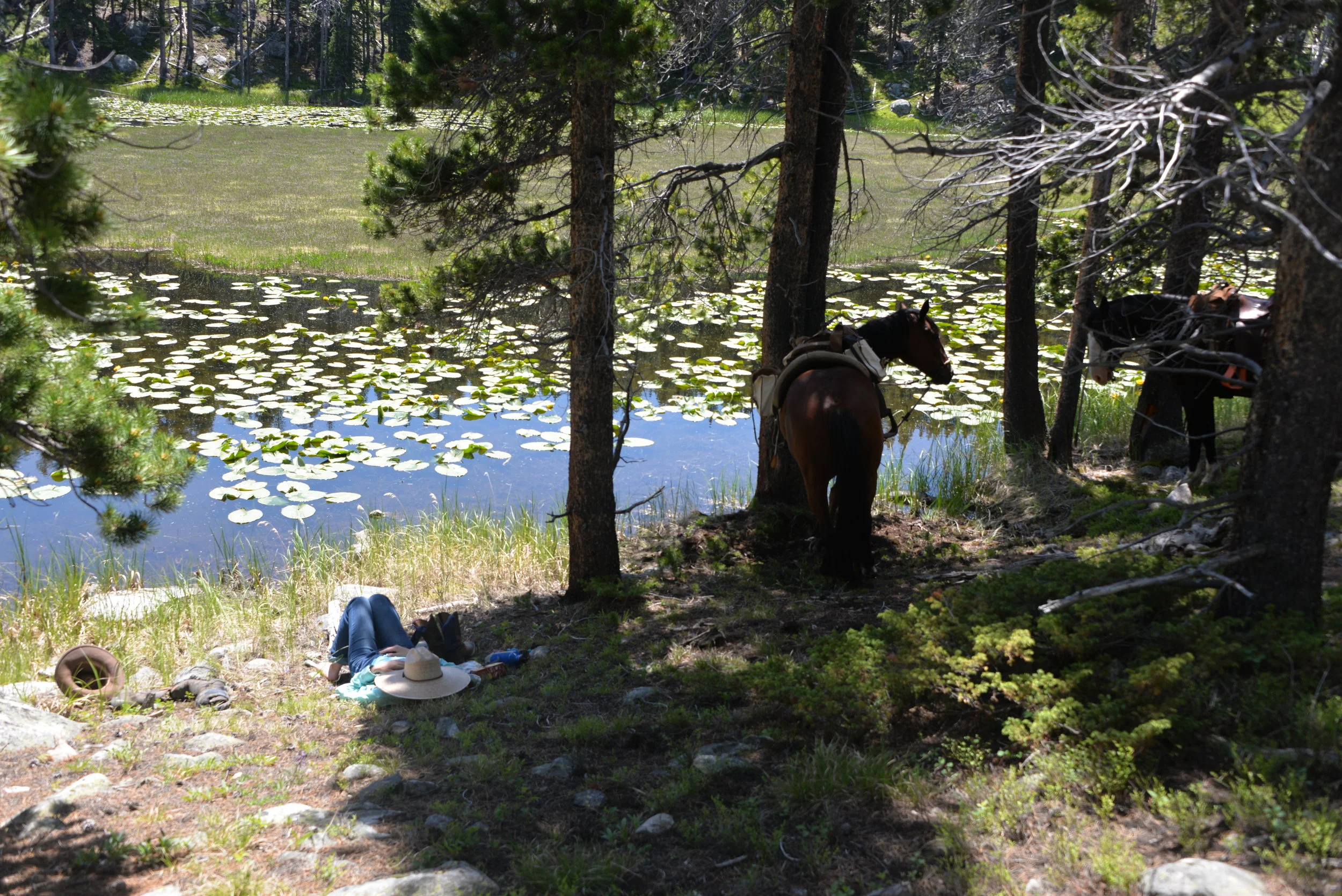DSC_5087.JPG