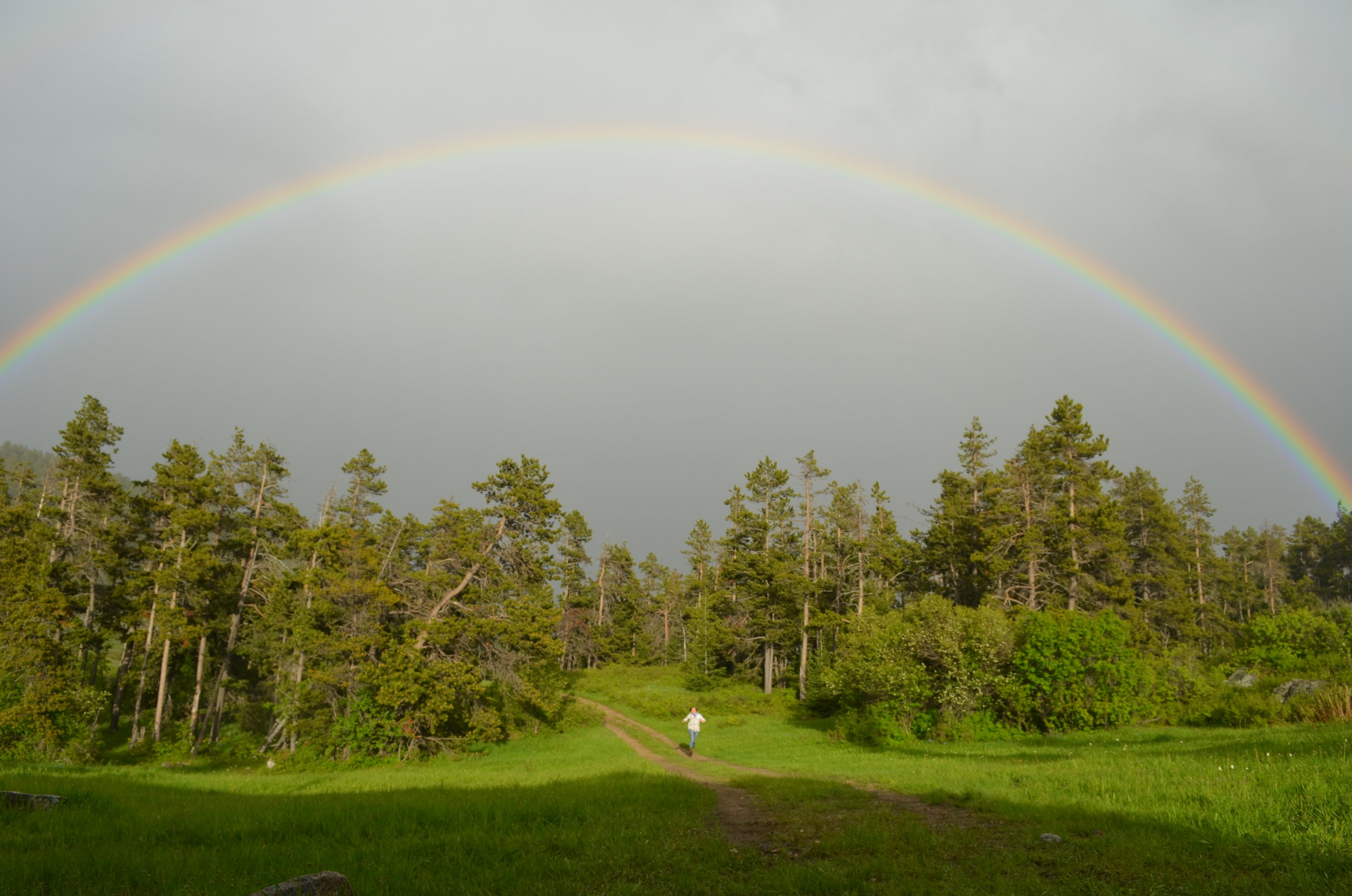 DSC_0270.JPG