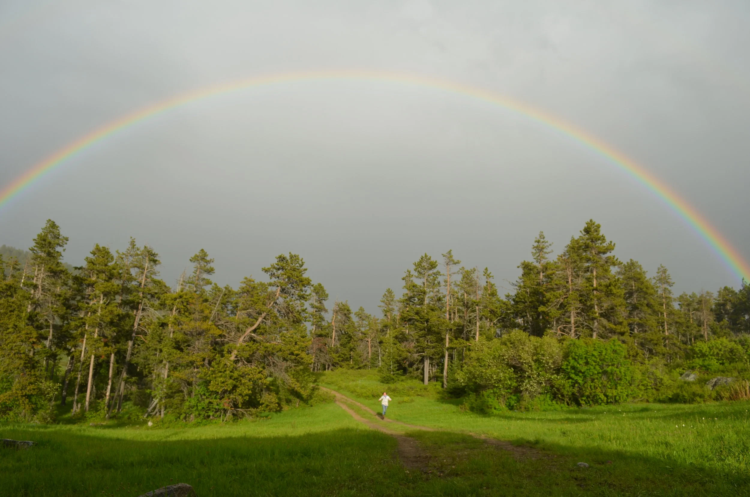 Support Local Conservation Efforts