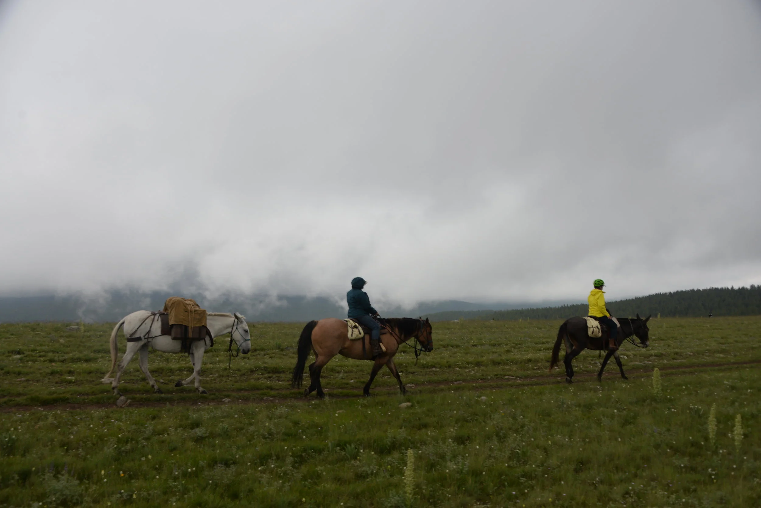 DSC_7284.JPG