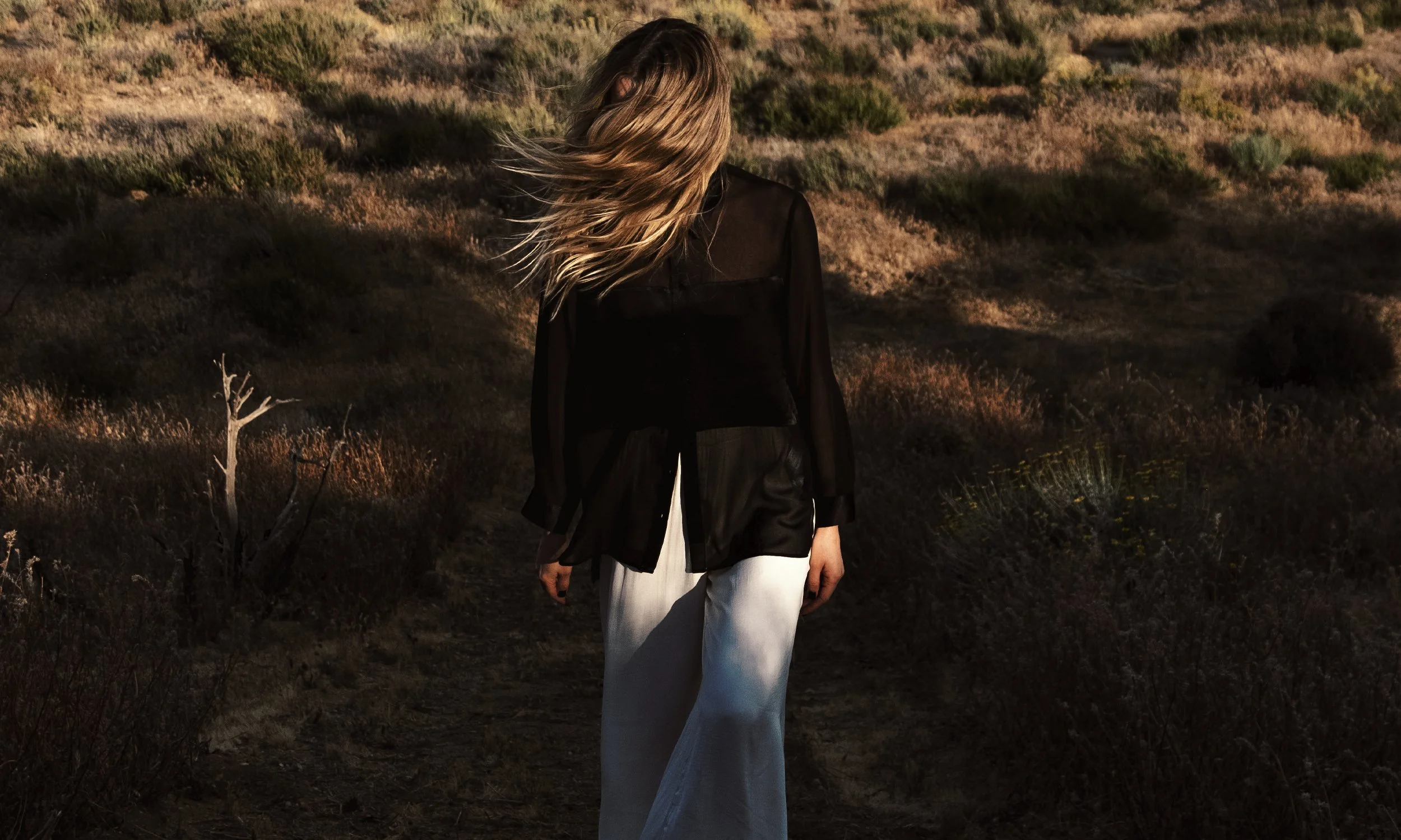 qiaroskuro model.jpg