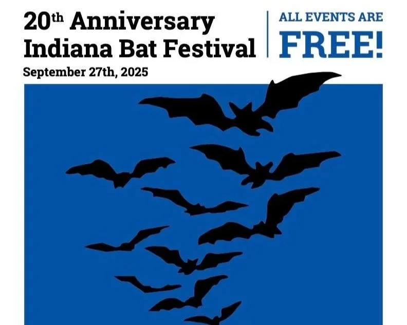 20th Annual Indiana Bat Festival