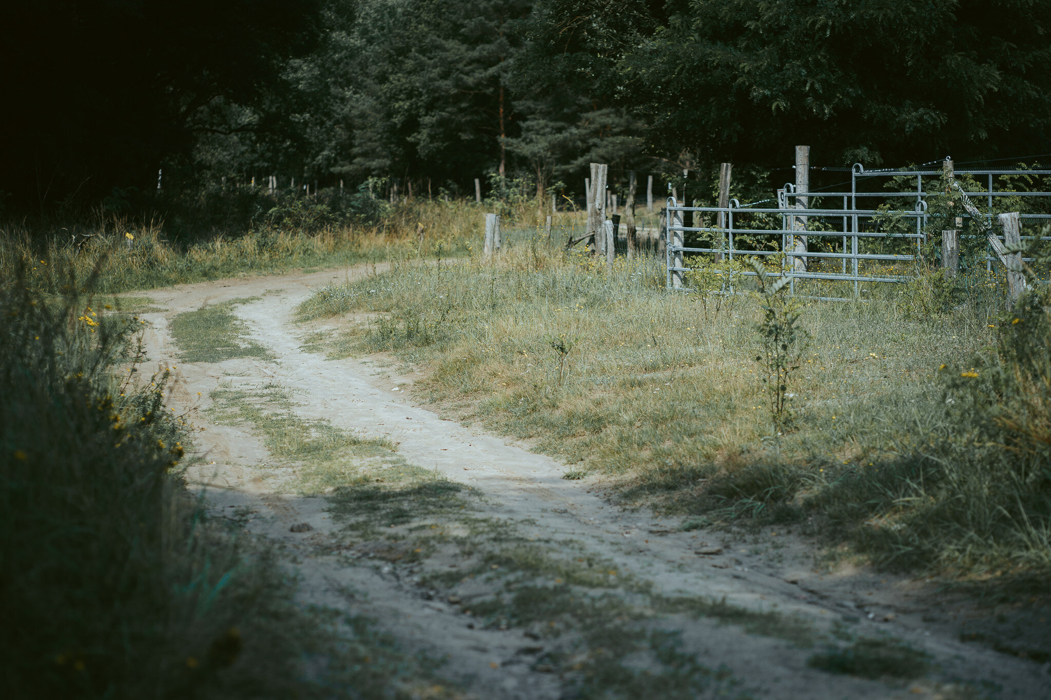 Gravel Fondo Berlin_Route-06.jpg