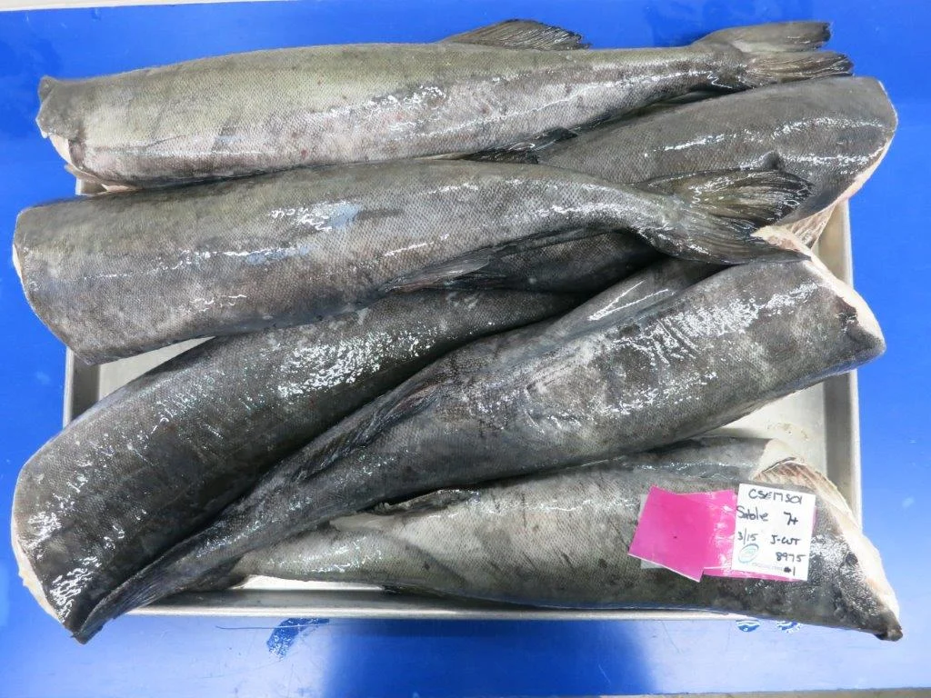 CSE17S01 BLACK COD J-CUT 8975 (5).jpg