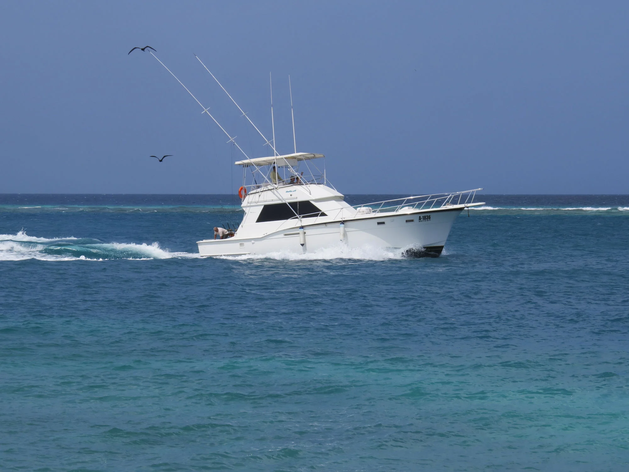 hatts_off_yacht_4.jpg
