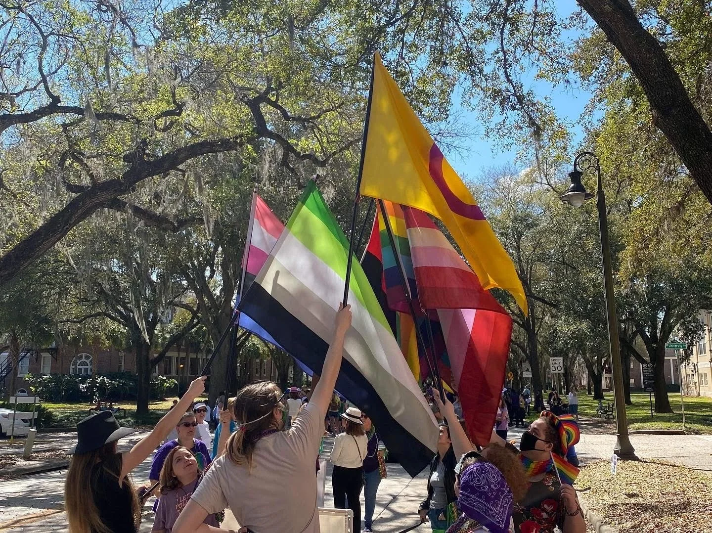 Program Overview — DeLand Pride