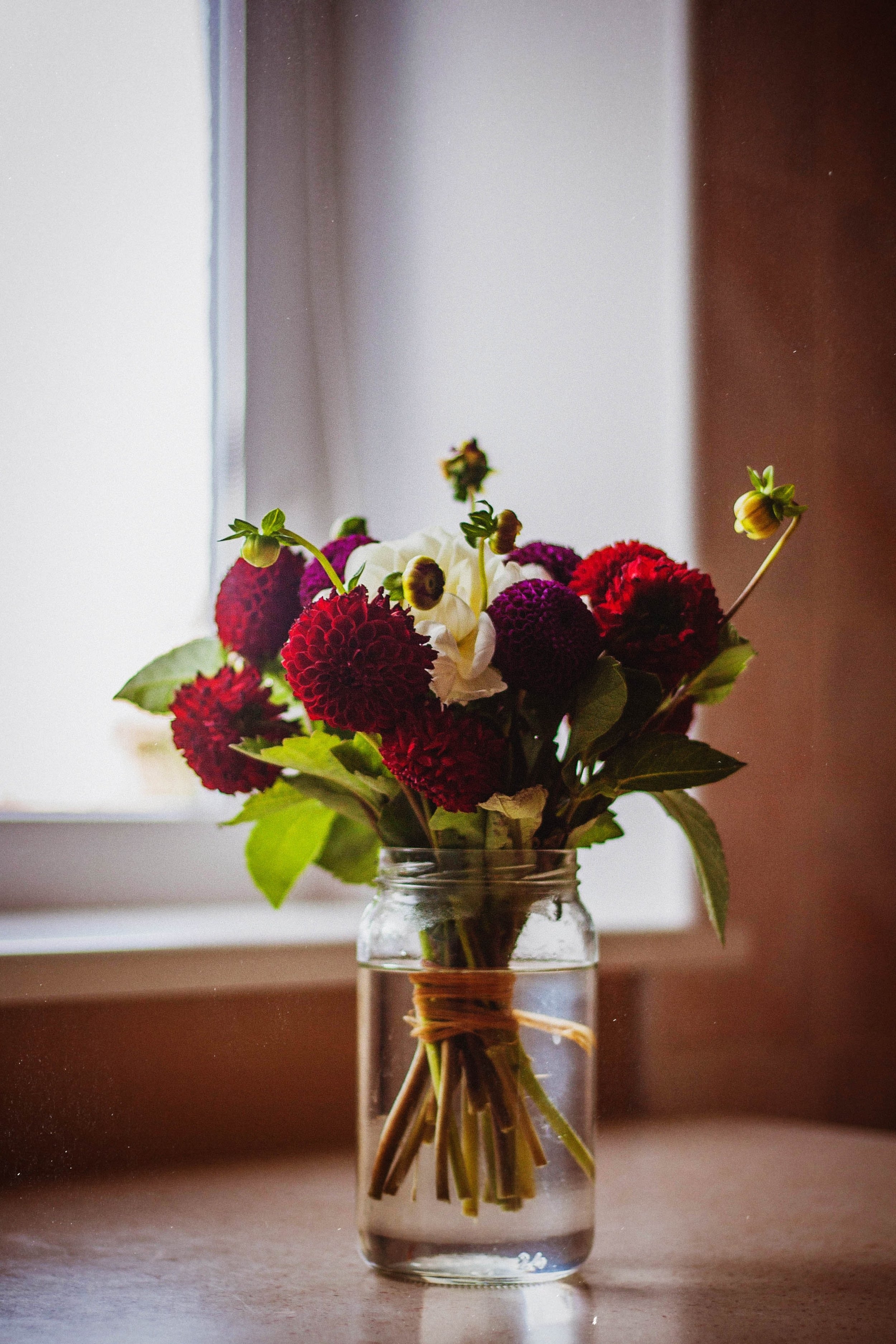 bloom-blossom-bouquet-112824.jpg