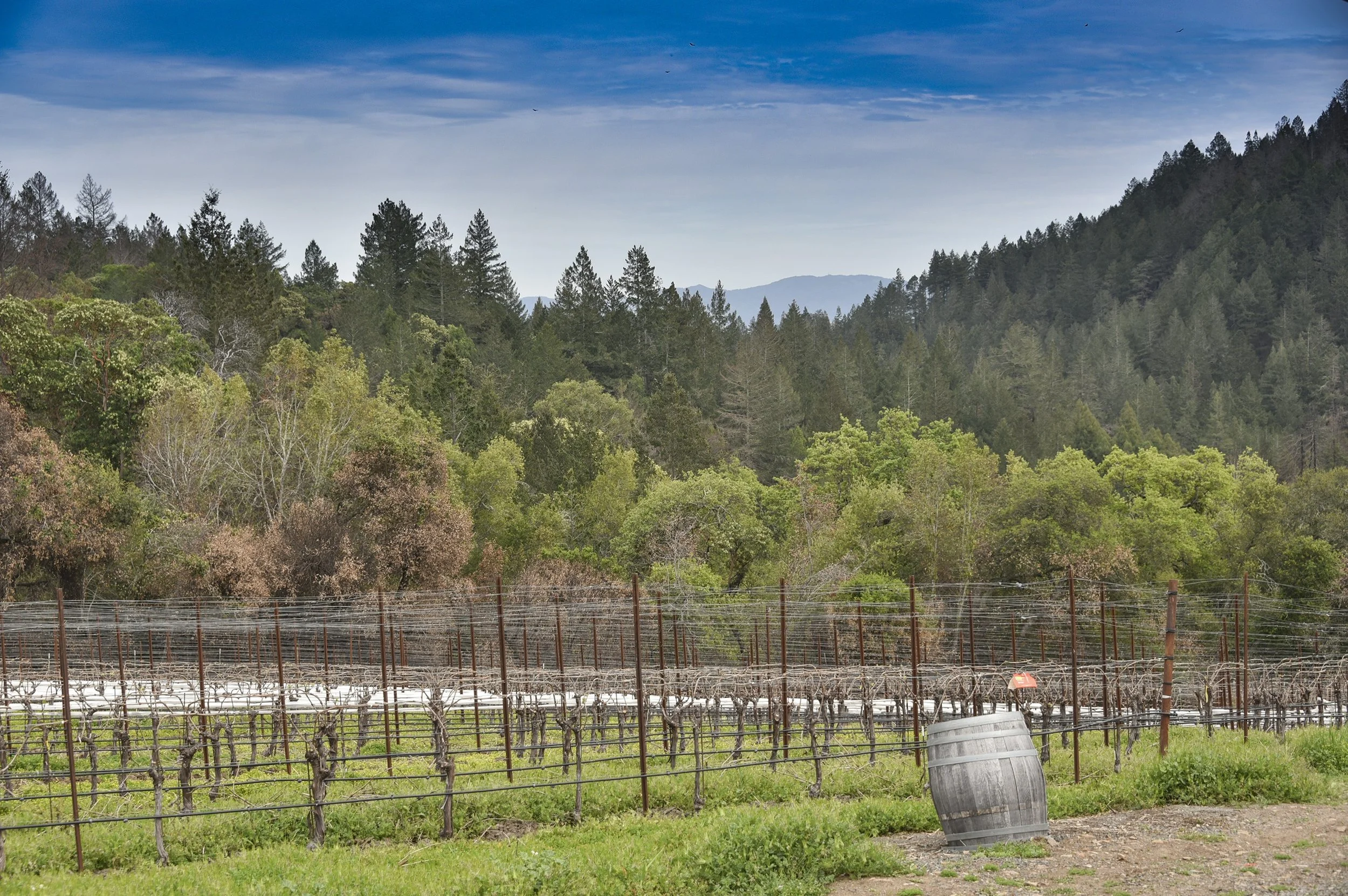 4850_Redwood_Rd_32.jpg