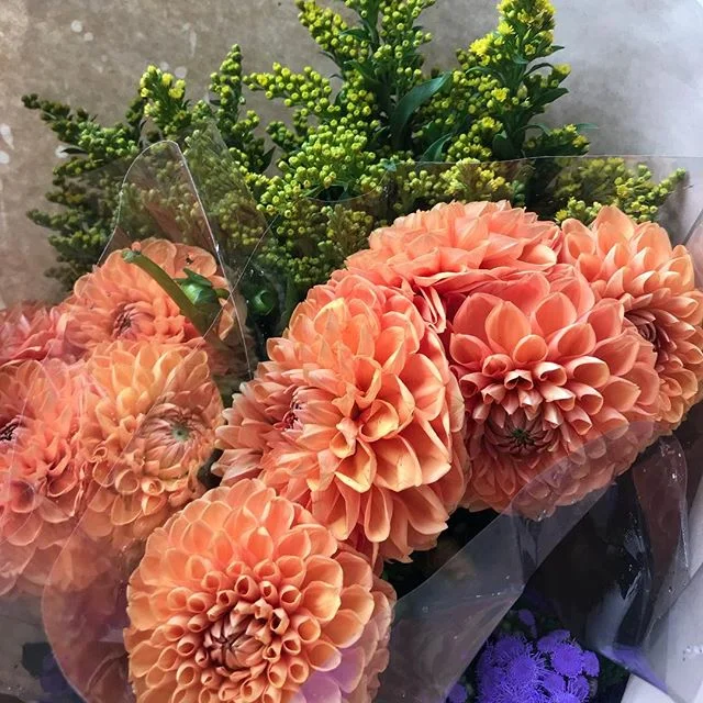 The Daily Flower — Chester Hometown Florist