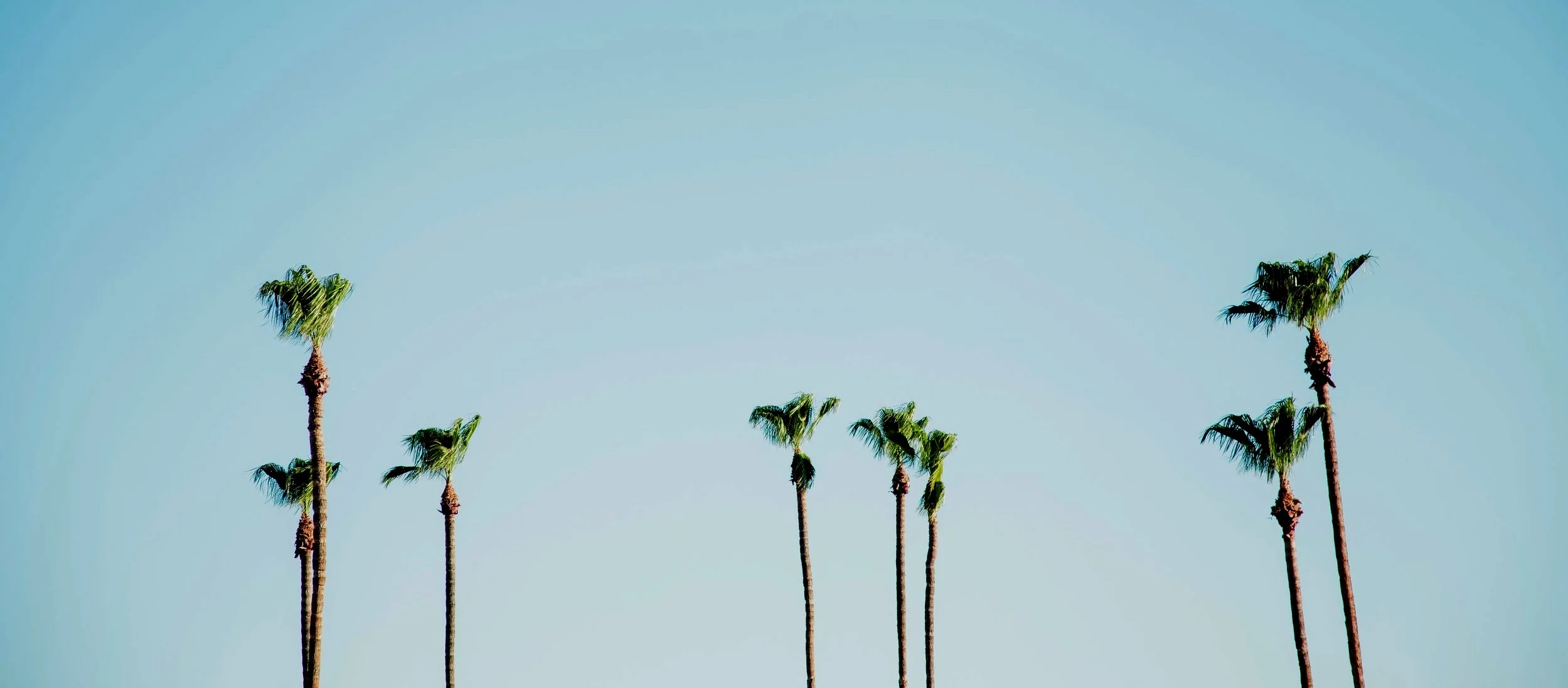 justyn-warner-519454-unsplash.jpg