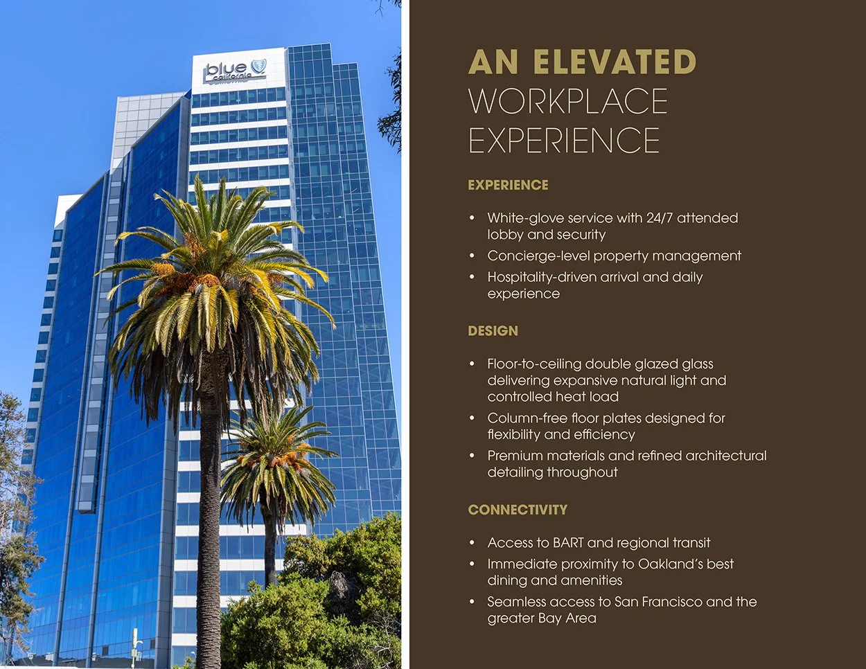 601 City Center3.jpg