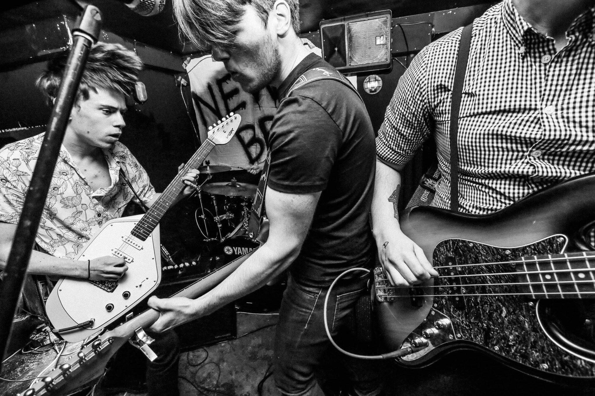 Daniel Blake Photography Click for hi-res download.