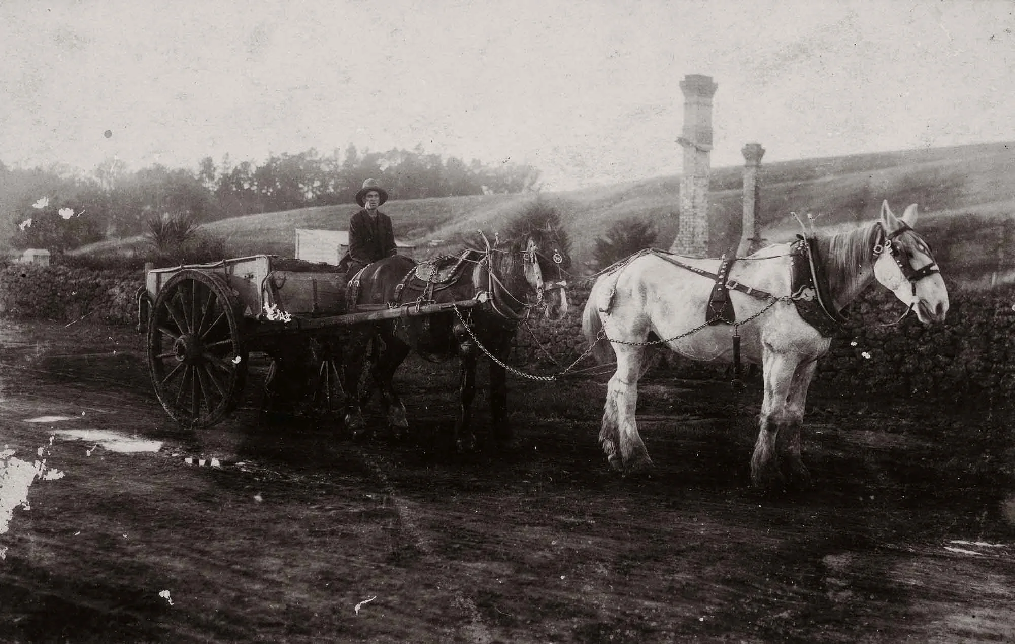 Carrier’s cart on the Great South Road, Wiri, 1910. (Courtesy Mrs Mary Crichton/Auckland Libraries Footprints 03690)