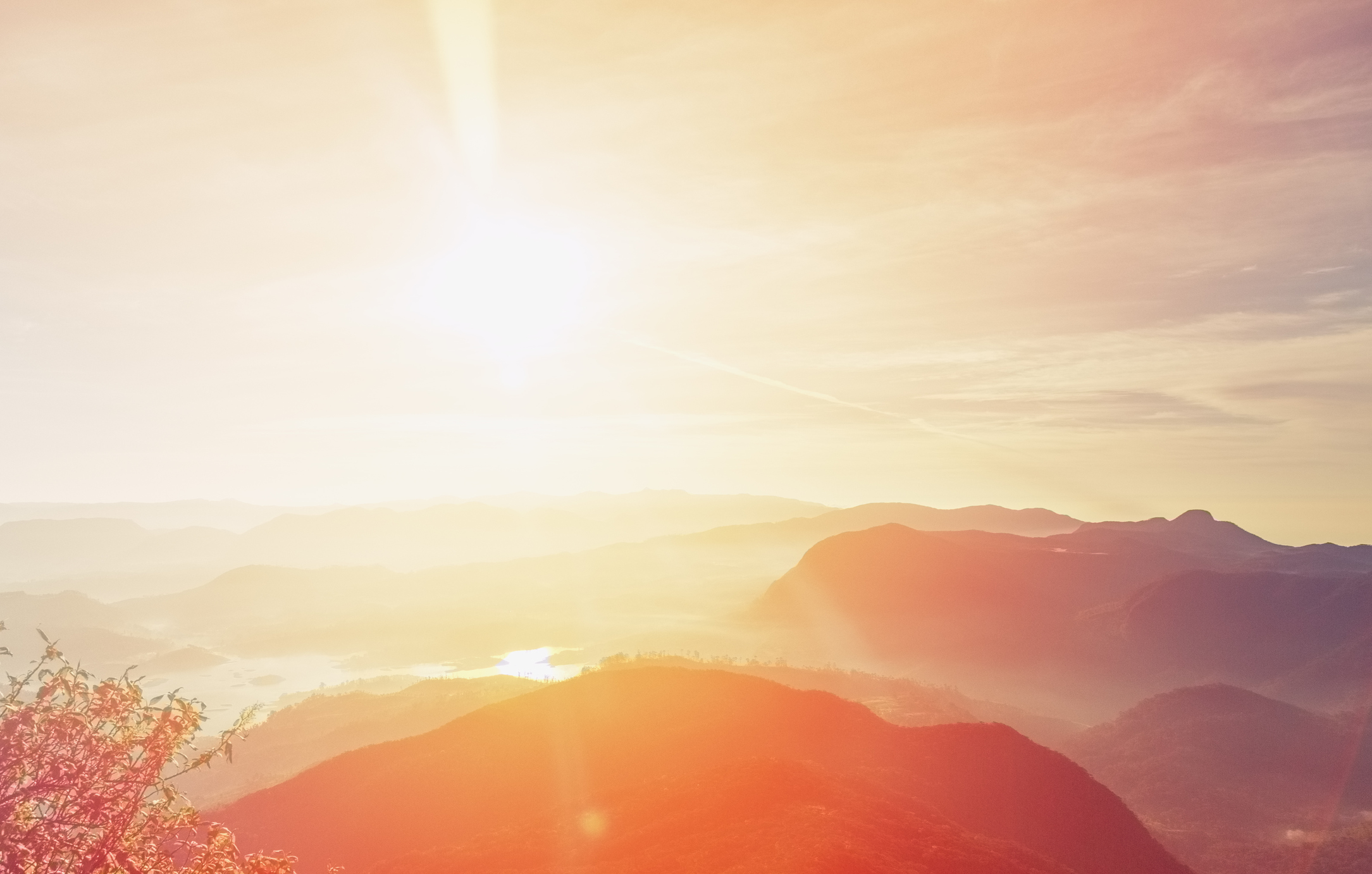 Photo by danilovi/iStock / Getty Images