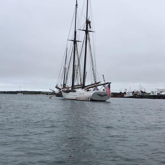 Sailing on Martha&rsquo;s Vineyard. Great day on the water on our Cirrus Life Adventure. 
Fresh oysters!
#cirruslife #TFAFallColors.