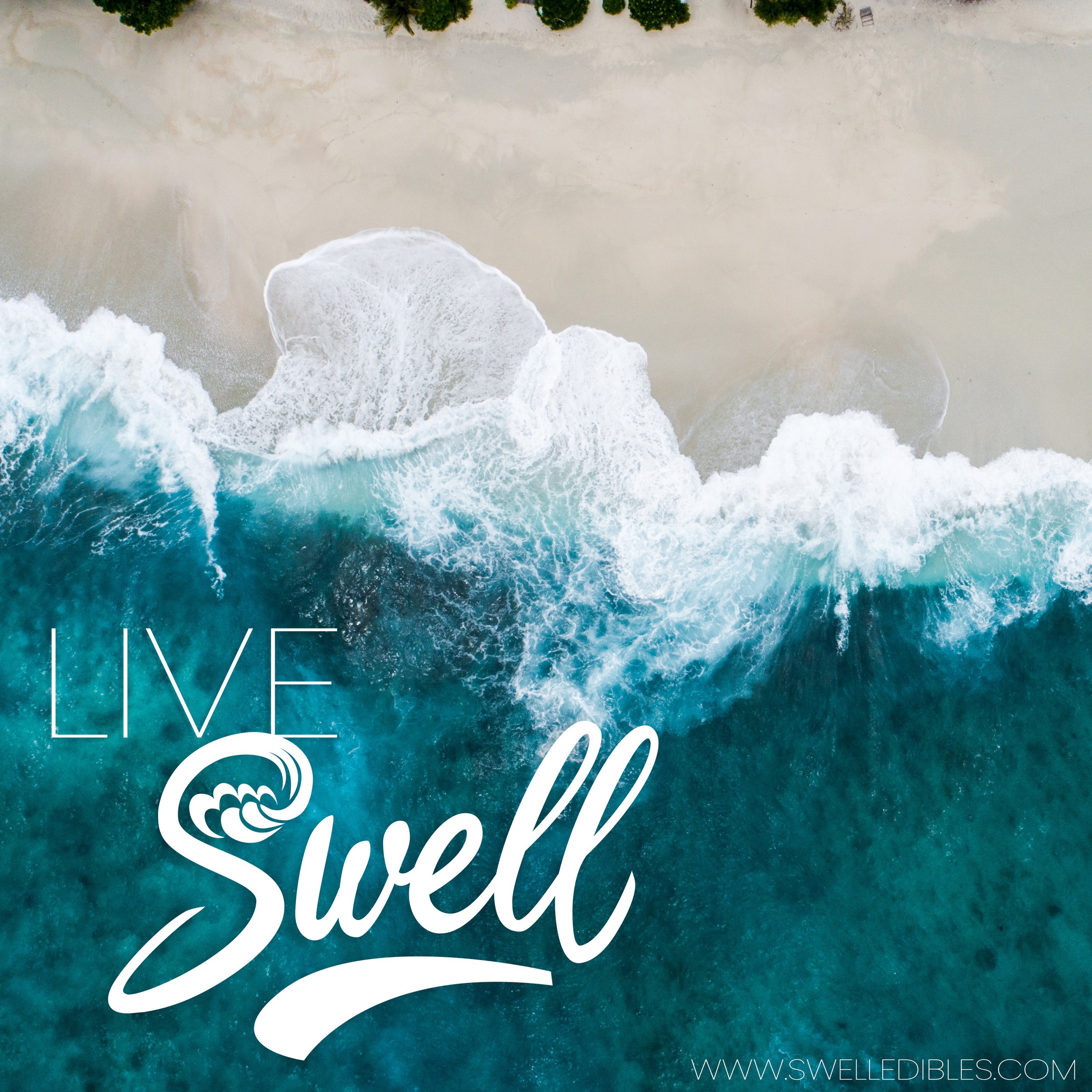 Swell Vendor Day - Everett