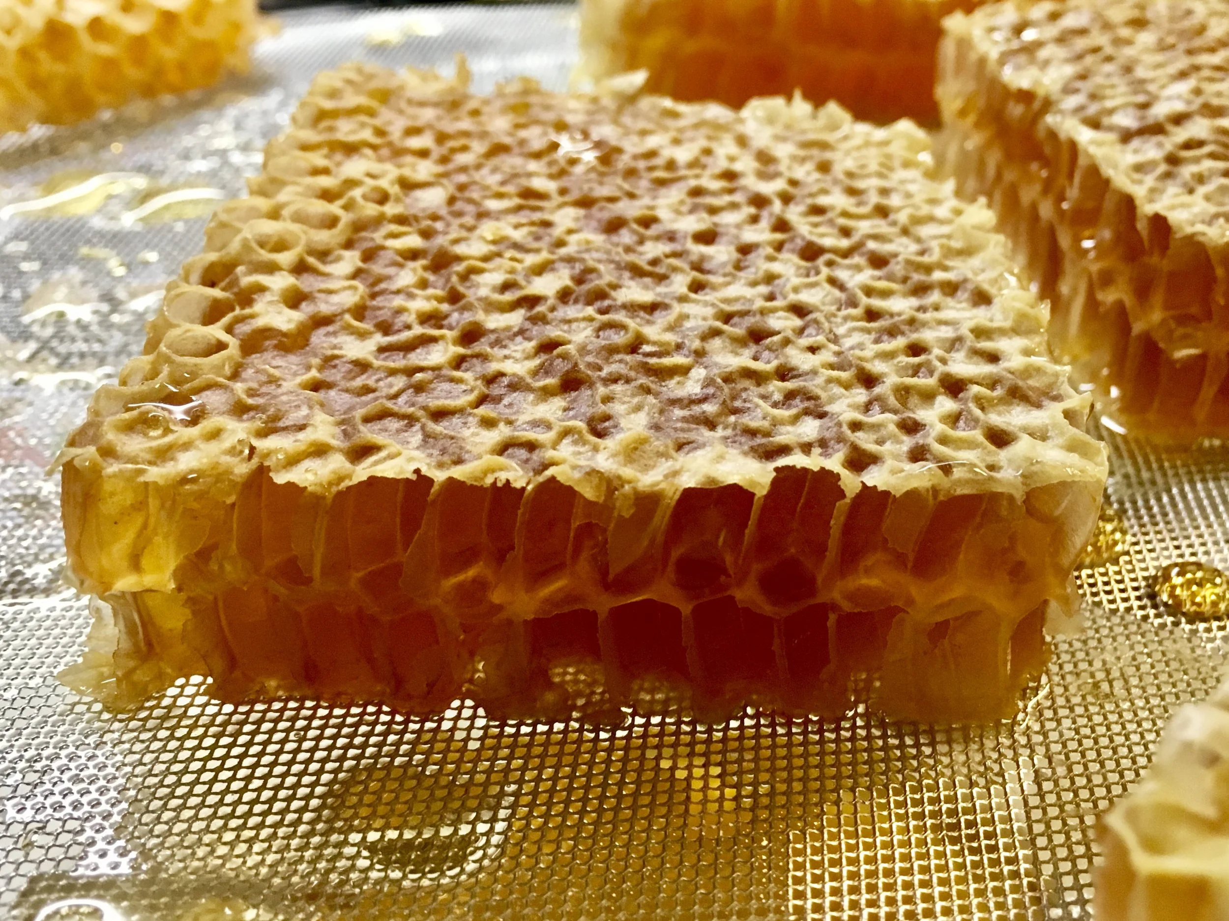 Honeycomb.jpg