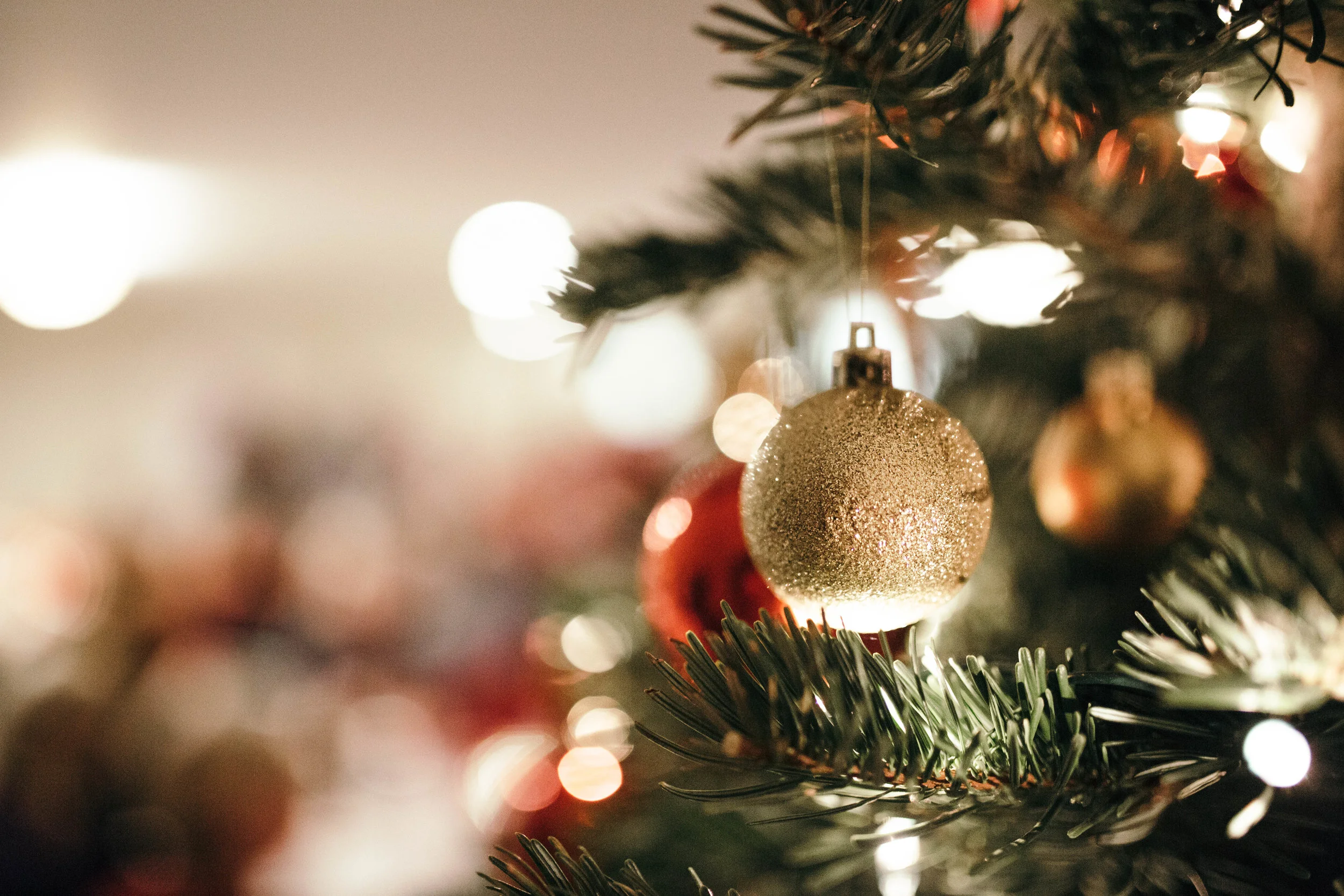 hvxmas-10.jpg