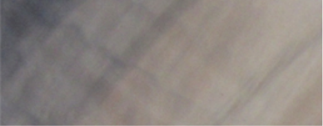 TUSCAN SUN.png
