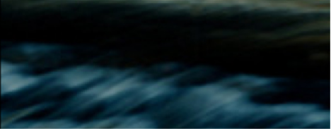 MIDNIGHT CANYON.png