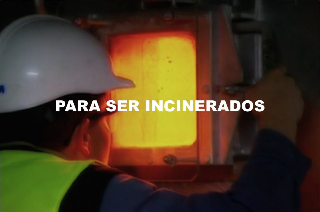 Para ser incinerados.png