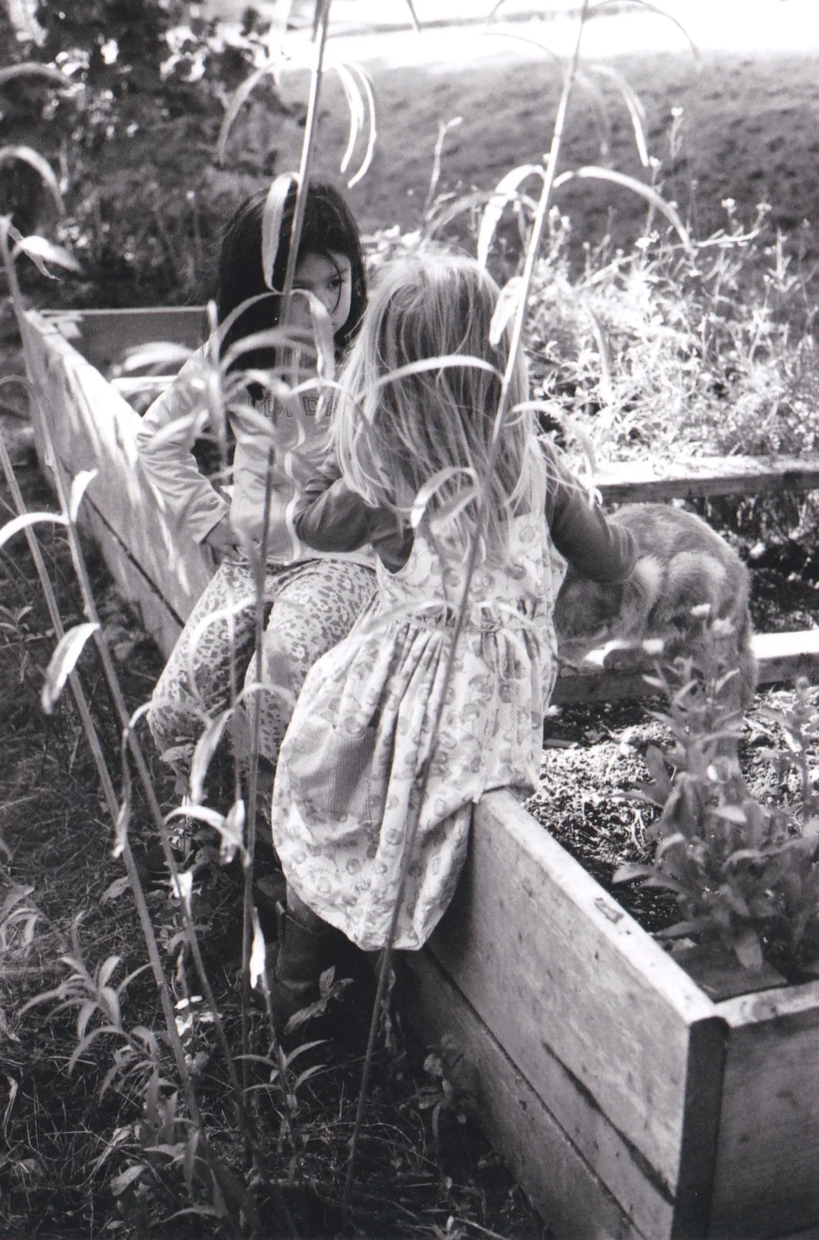 Scan 449 - Version 2.jpeg