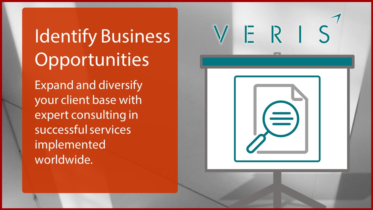 Identify Business Opportunities