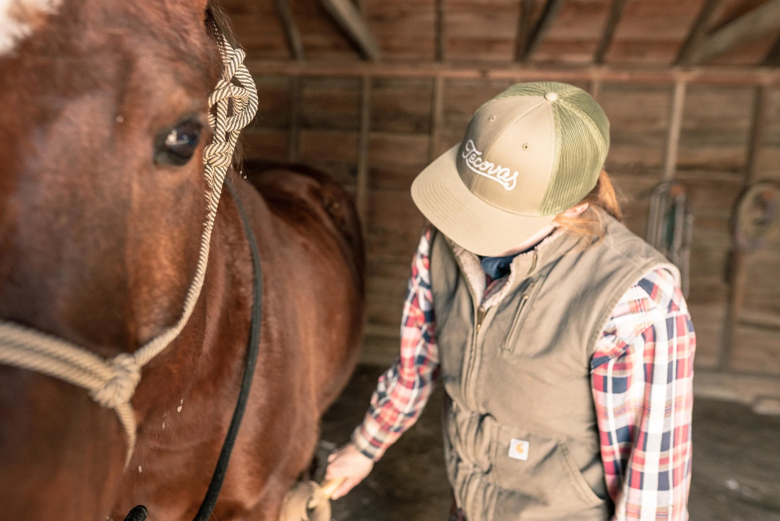 Jenna Flatgard wearing a Tecovas hat while brushing her horse in her barn in eastern Montana.