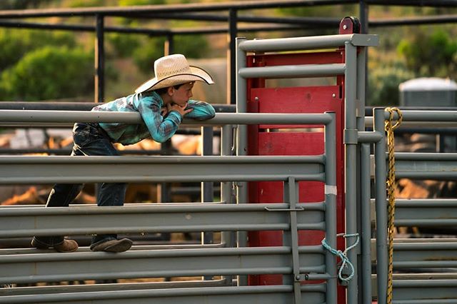Definitely not his first rodeo
#outwest #western #montanamoment #lastbestplace #montana #bigskycountry #cowboy #rodeo #ruralamerica #ranchlife