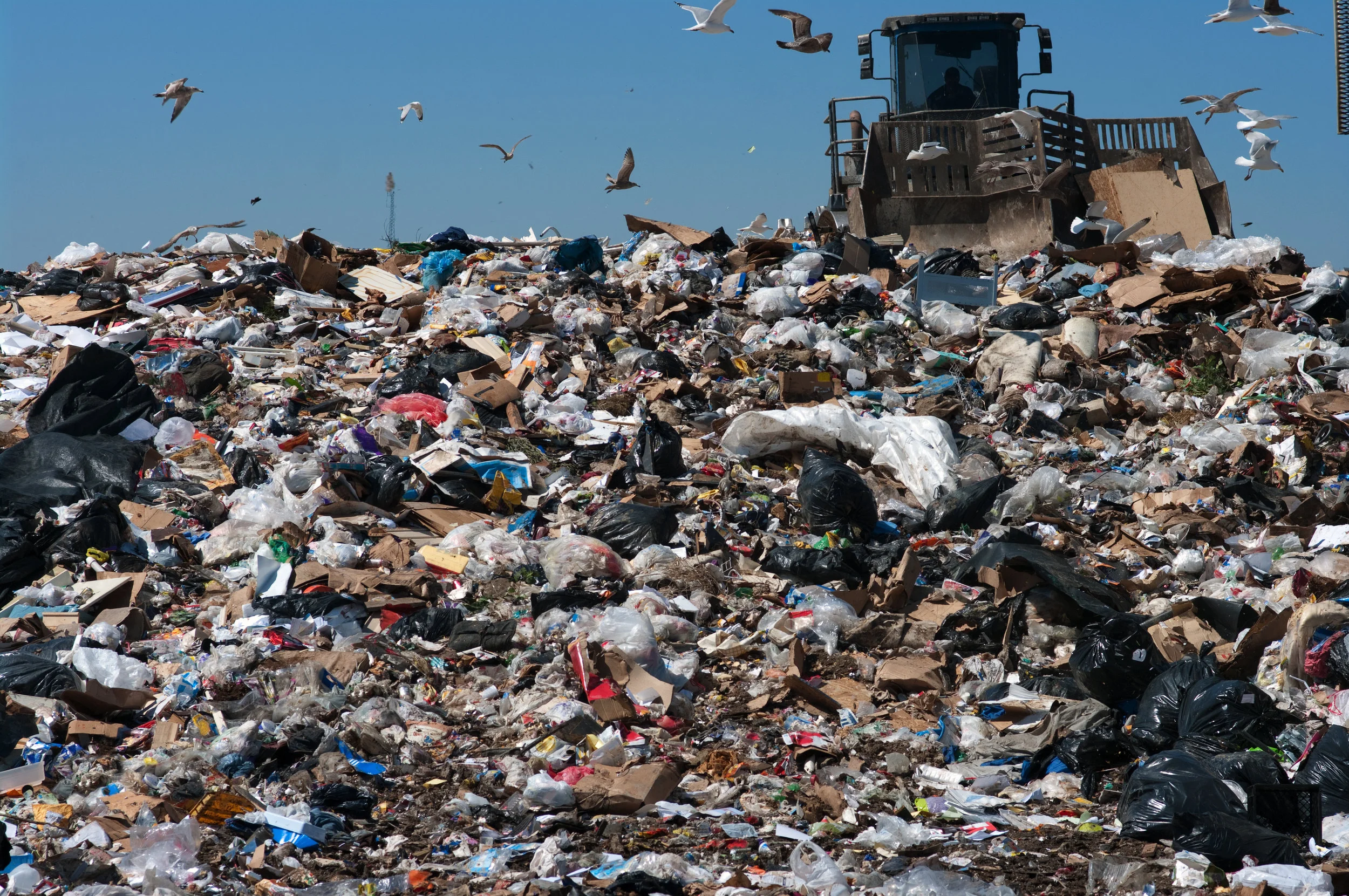 landfill .jpg