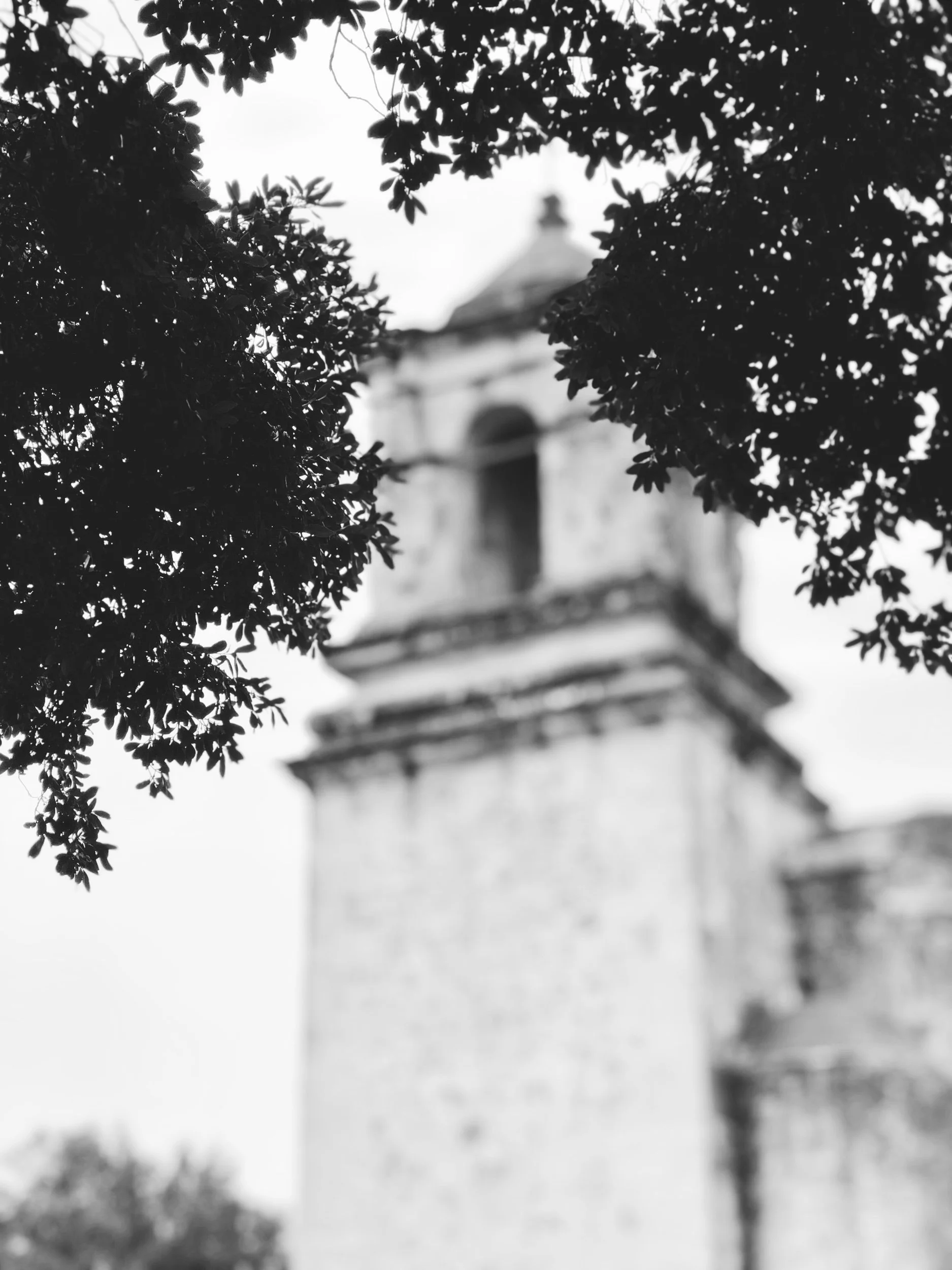 66235FD7-AD39-4C9C-A04B-41A0CA5FA072.jpeg
