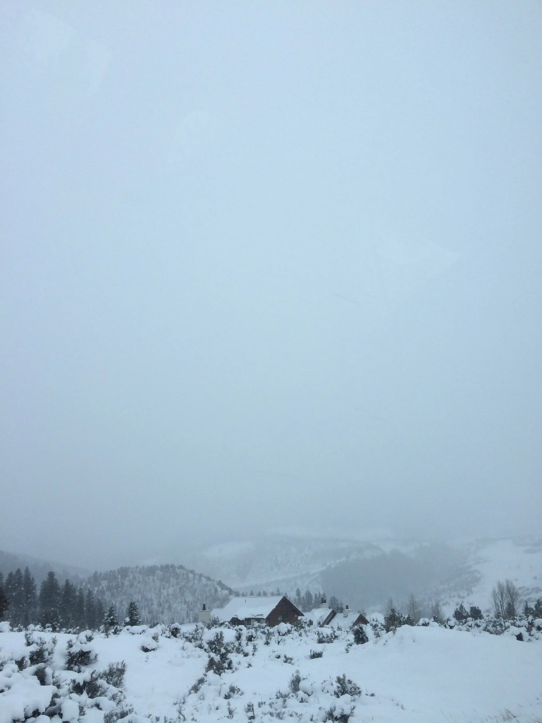 0F95CB37-F920-4B17-BE5D-6F30AAD29AEB.jpeg