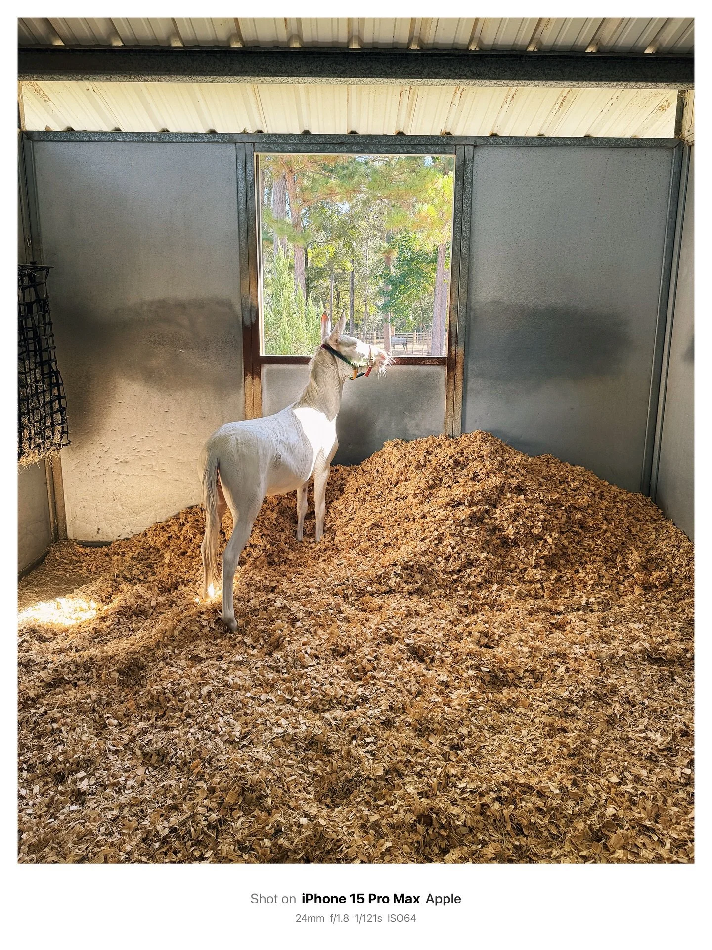 Edited with @vsco (a1pro preset) (1 preset)