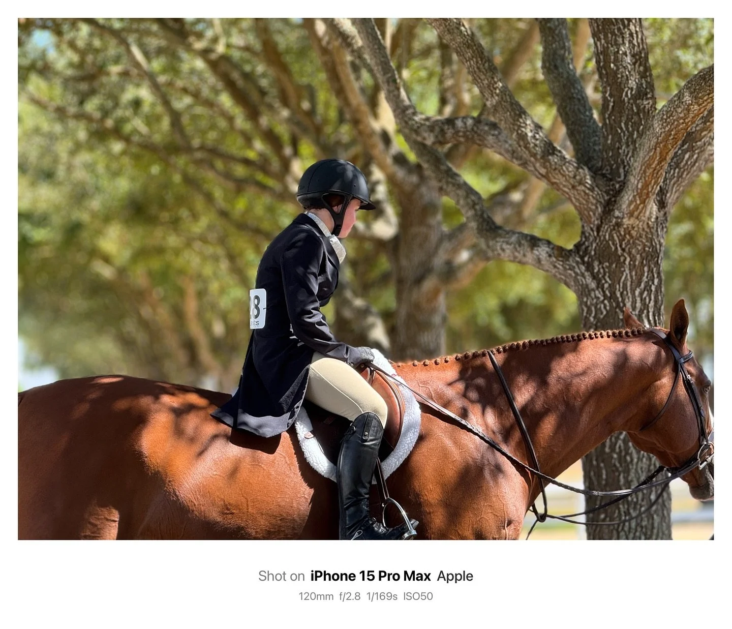 Portrait Mode: Natural Light &bull; Unedited