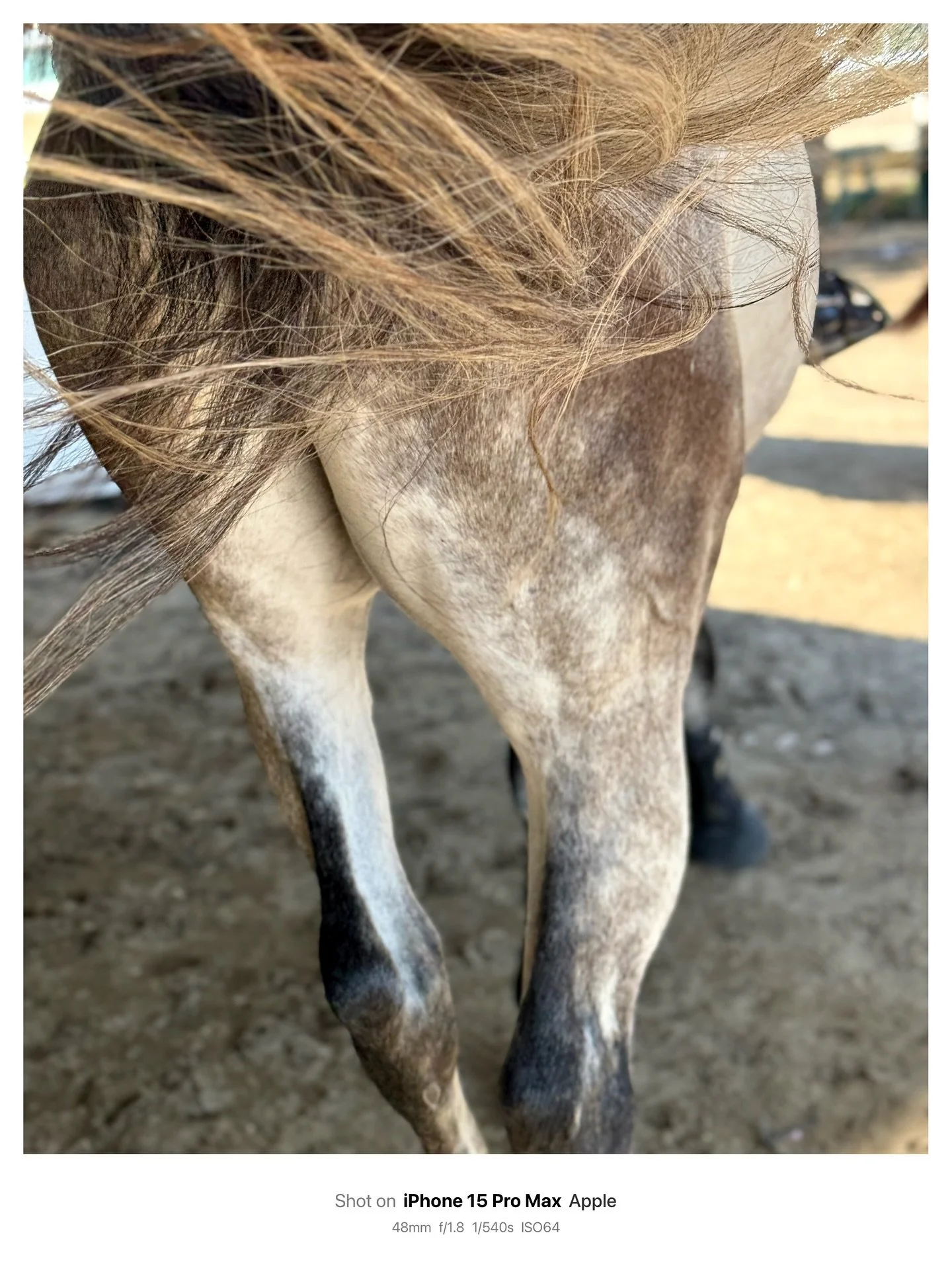 Portrait Mode: Natural Light