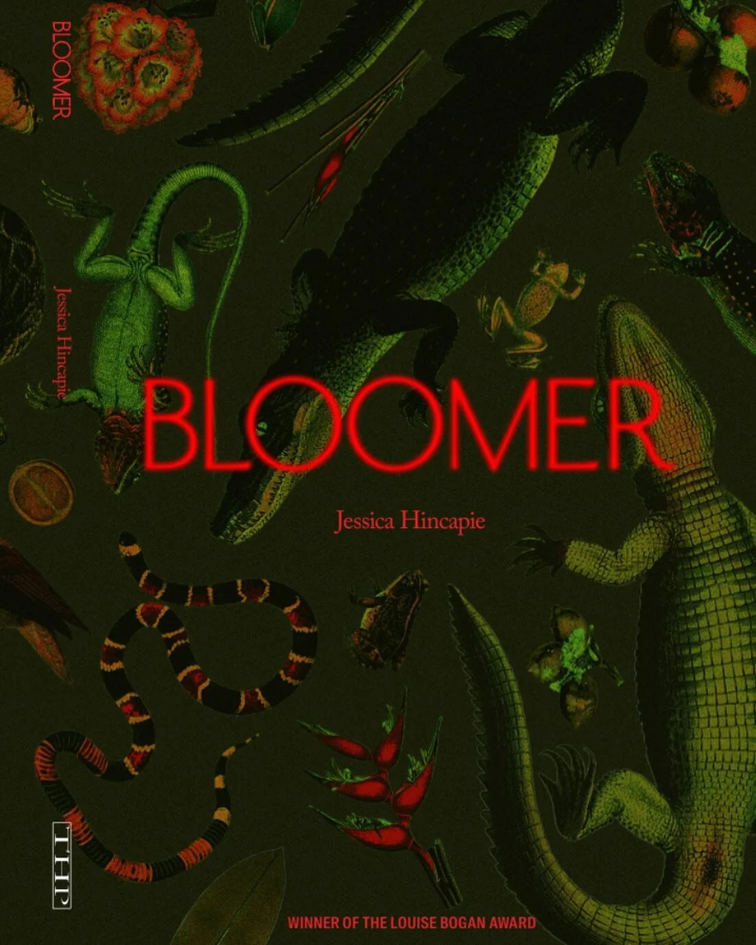 This is the beautiful cover of my book, Bloomer!!! It will be available for purchase this July! (Pre-order links coming soon!)

@prettyghost designed the cover. Without her there wouldn&rsquo;t be this level of beauty, without her there probably woul