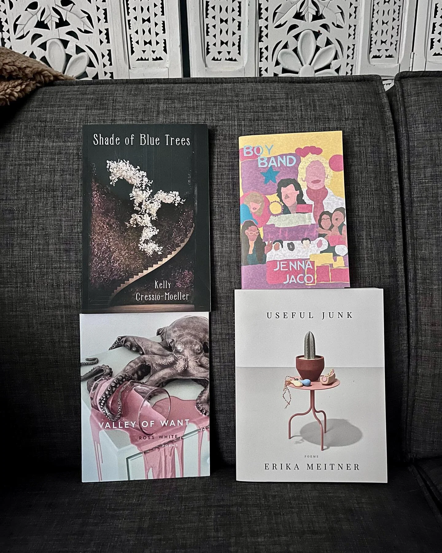 National poetry month never ends in this house&hellip; 🖤

1. Shade Of Blue Trees by Kelly Cressio-Moeller

2. Boy Band by Jenna Jaco

3. Valley of Want by Ross White

4. Useful Junk by Erika Meitner