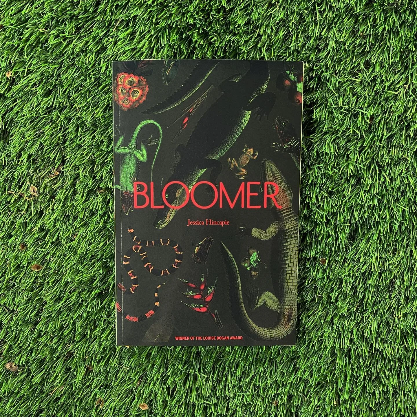 The countdown begins! One month away until Bloomer is officially out in the world! 🦩🌴🐊 Pre-order links available at link in bio ✨