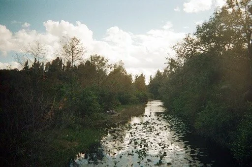 Swamp girl summer is officially in full swing. Spread the word.

📸 @prettyghost