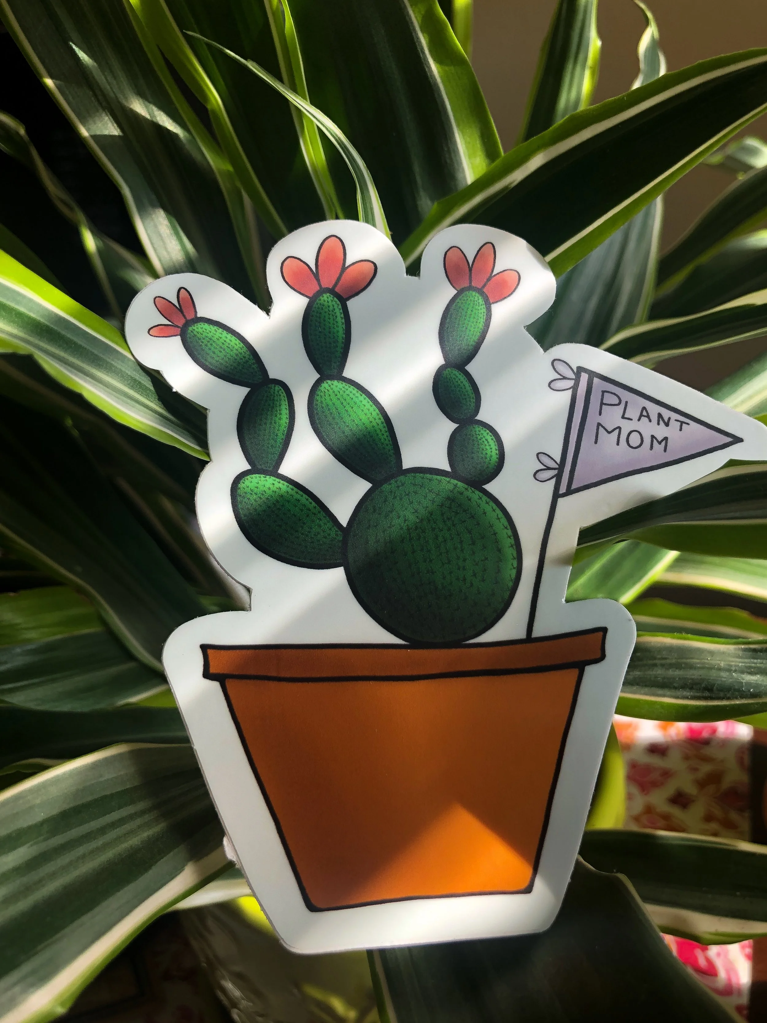 23A8EE0E-609F-42C9-A812-BBE1D3D43AE0