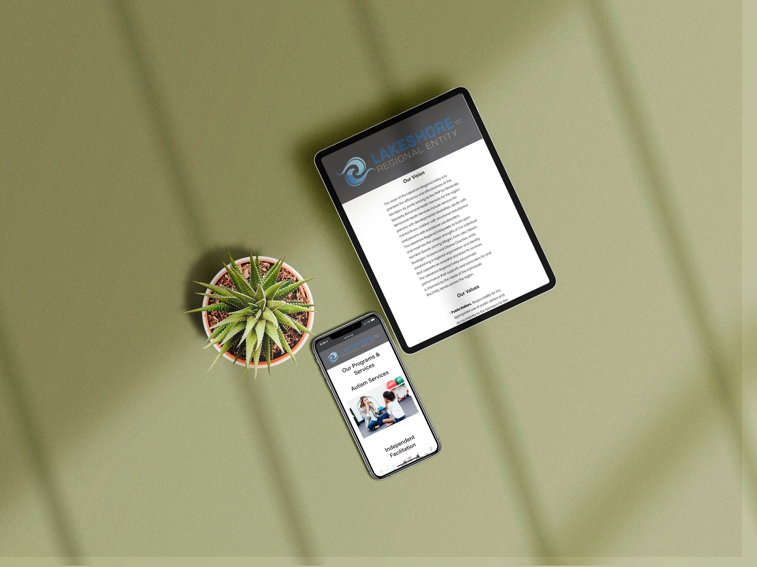 Web Design For Lakeshore Regional Entity