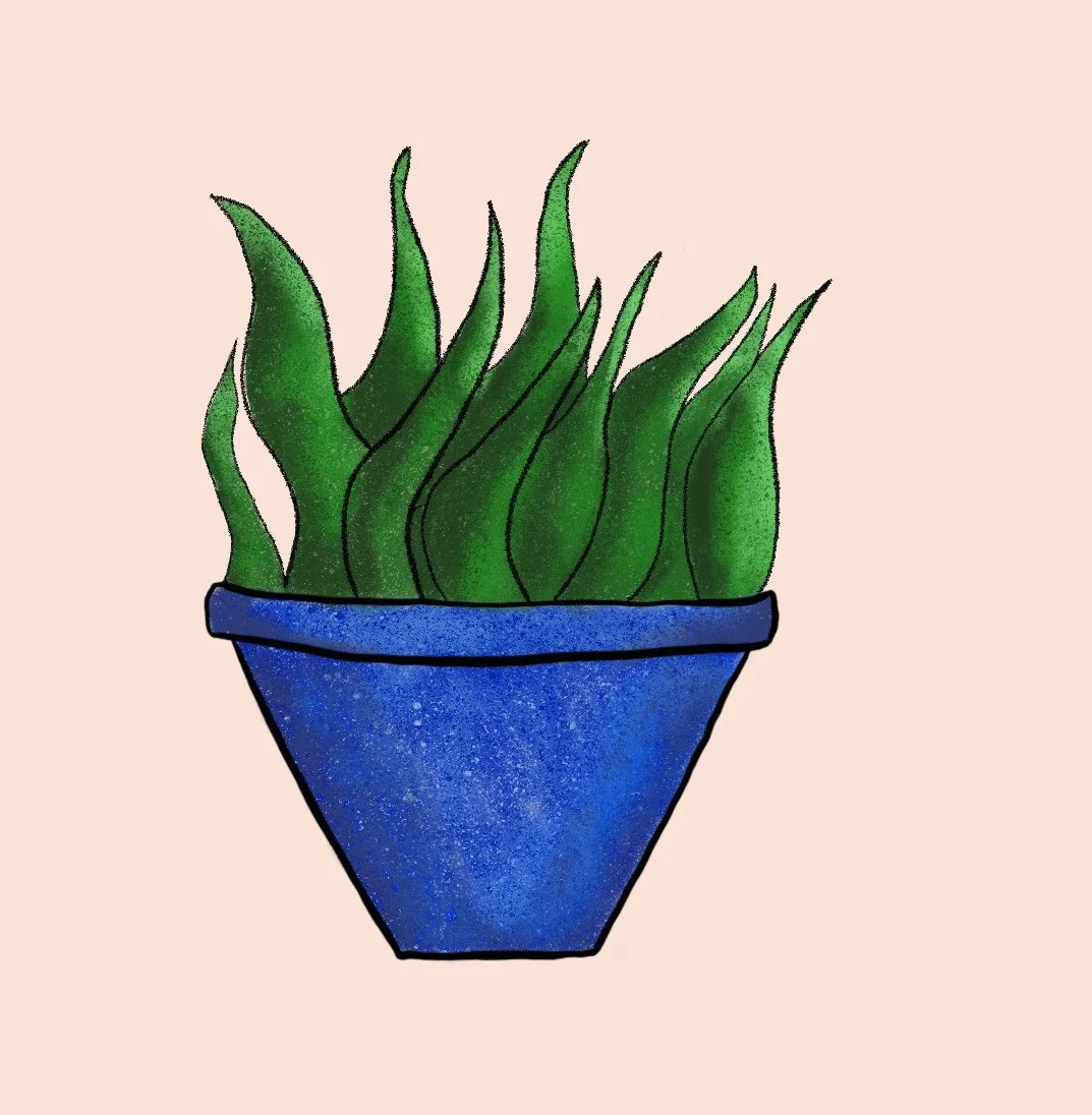  Drawing made on Procreate 