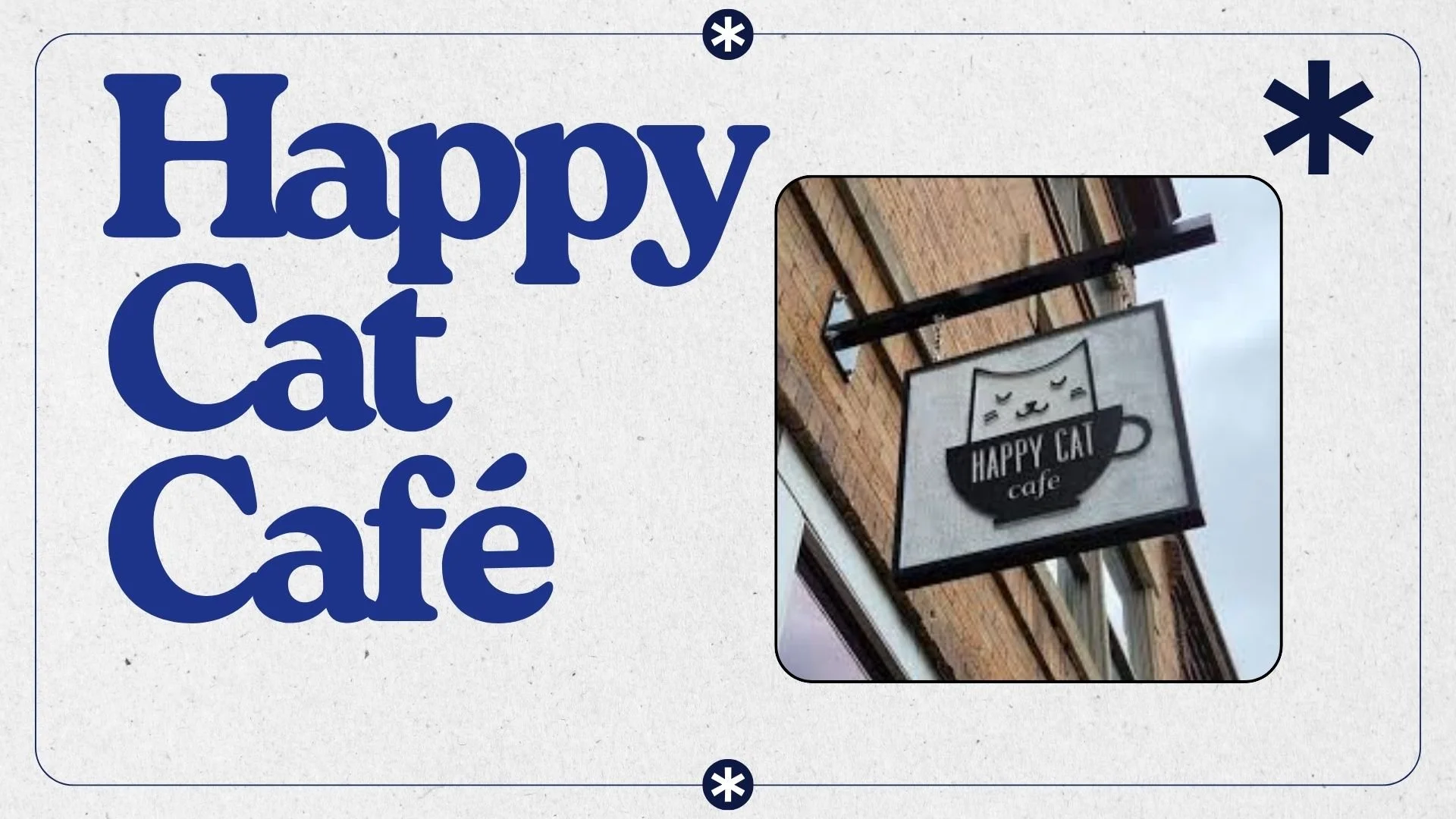 Happy Cat Cafe Marketing Research 