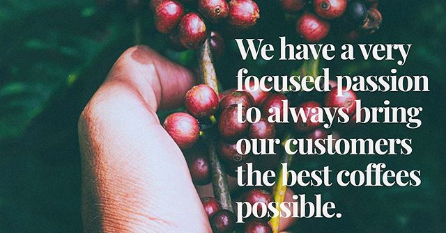 Helping our costumer locate, evaluate, and procure the world finest coffee, is both our business and true passion.
.
.
.
.
#redgonicoffee #redgoni #coffee #passion #procure #procurement #worldbest #worldfinest #greencoffee #coffeebean #specialtycoffe