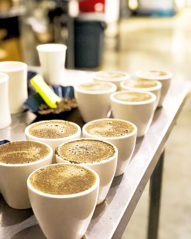 Hump day?! Time to cup and have some fun! #cuppingday ☕️☕️☕️
.
.
.
.
#cupping #cuppingcoffee #cuppingnotes #coffee #qgrader #observe #taste #aroma #defective #sweetness #acidity #aftertaste #specialtycoffee #coffeebeans #beans #greencoffee #redgoni #