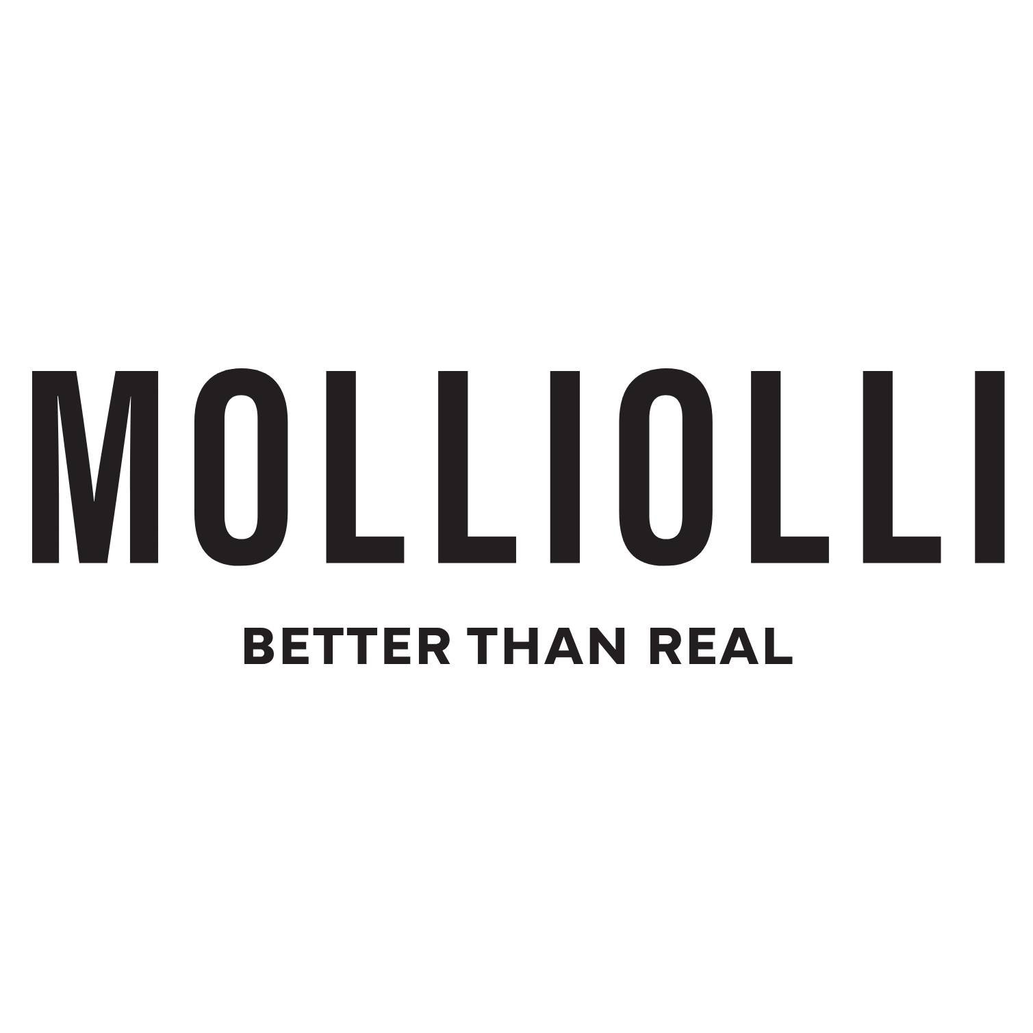 MOLLIOLLI - NEW LOGO-ai.jpg