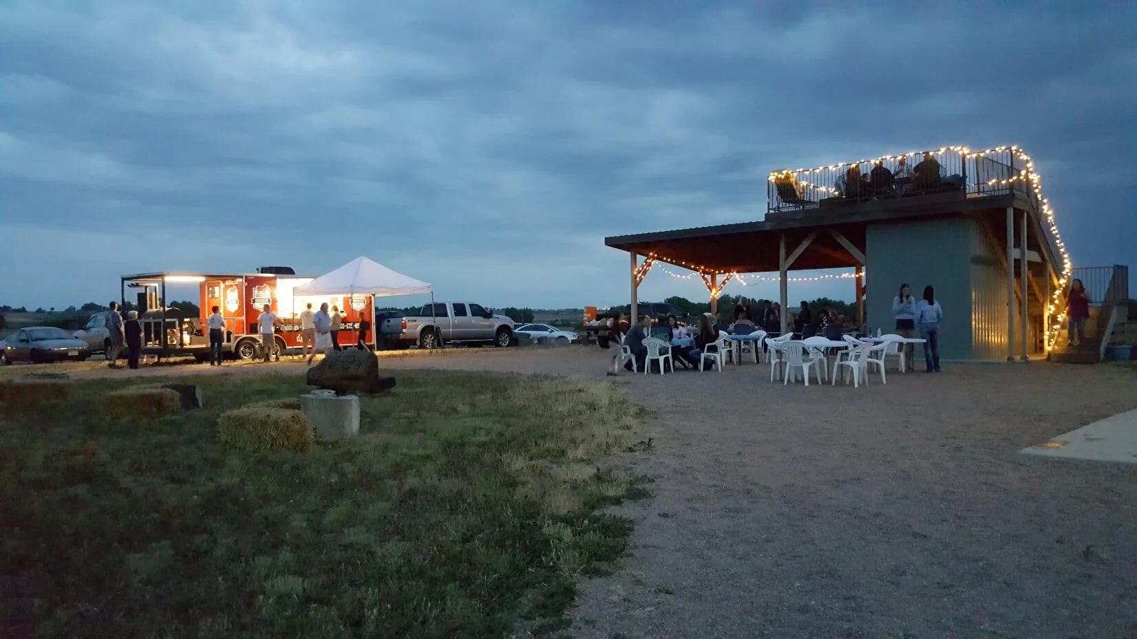 party in the pasture.jpg