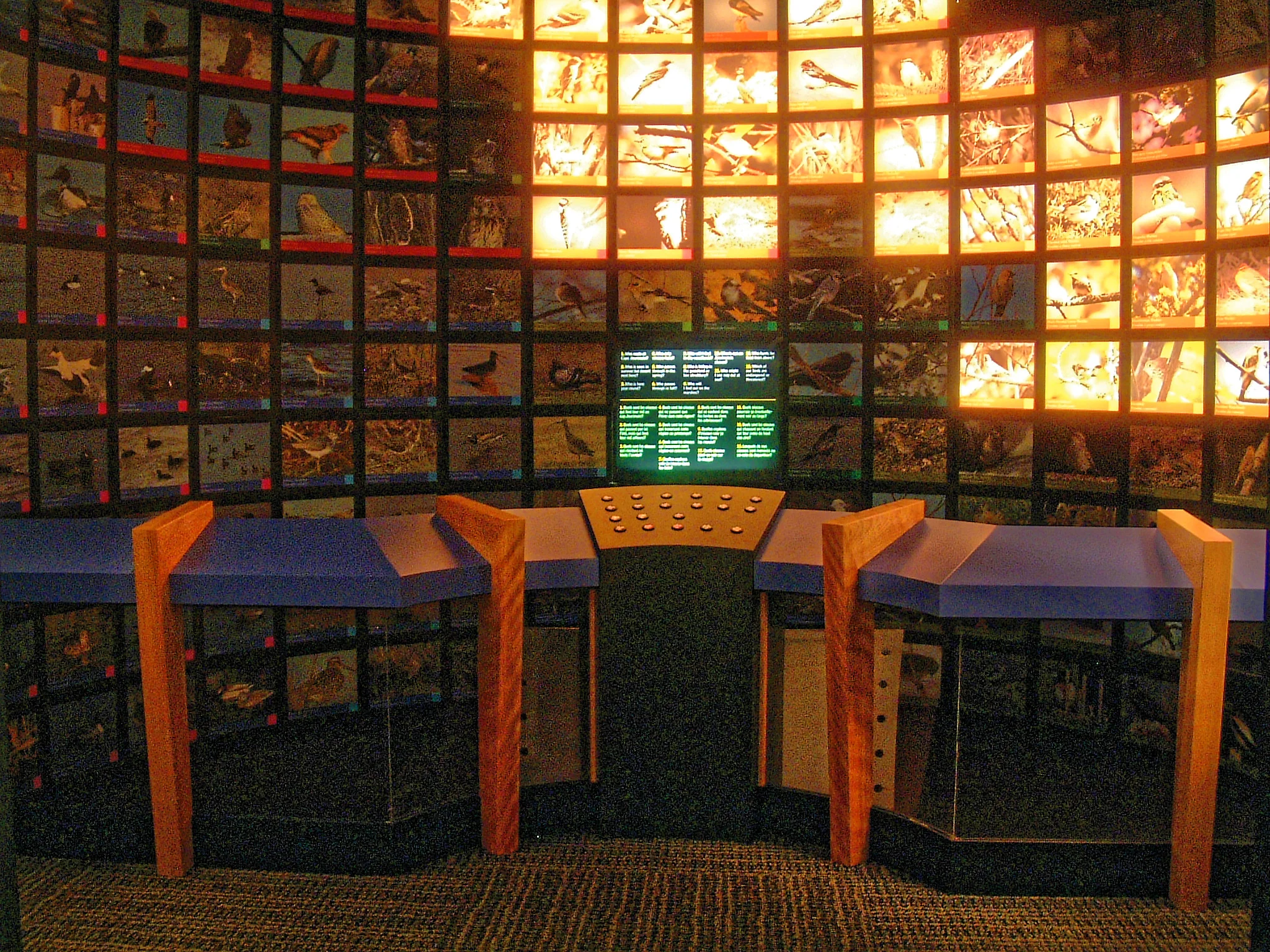 Ornithology Interactive Sorting Room