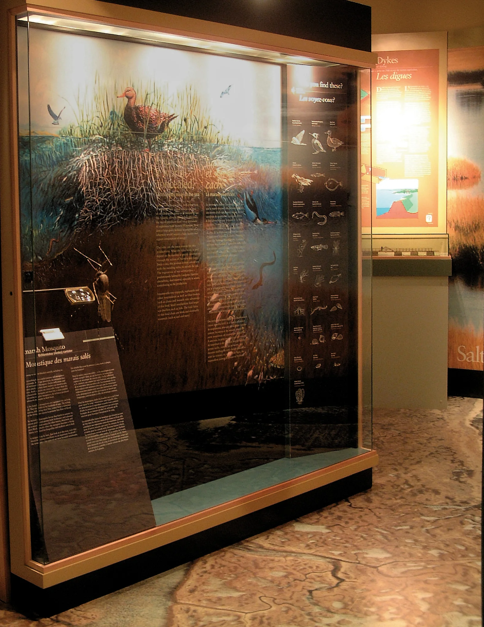 Saltmarsh Ecosystem Map